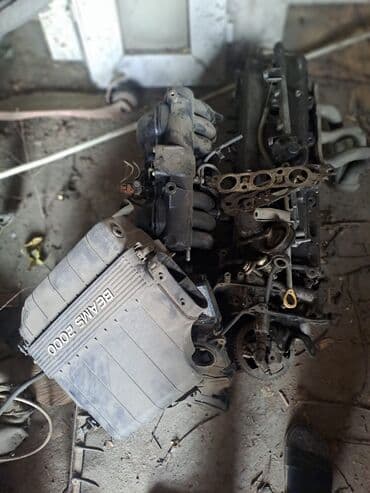 купить саженцы павловнии в бишкеке: Toyota 2002 г., 2 л, Б/у, Оригинал, Япония — 1