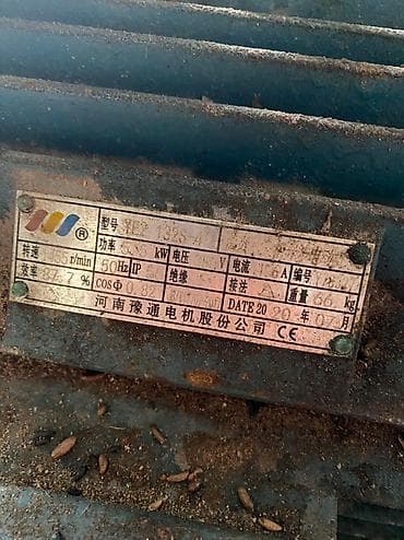 Услуги ветеринара: Продаю | Бык (самец) — 4