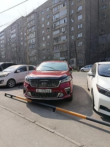 14: Kia Sorento: 2020 г., 2.4 л, Автомат, Бензин, Кроссовер — 7