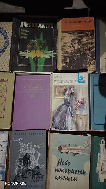 local guide program: Подборка бумажных книг на русском языке (разные жанры и годы издания) — 10