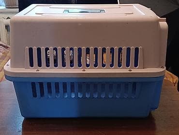 scottish fold: Переноска для собак ширина 40 длина 58 высота 40 — 1