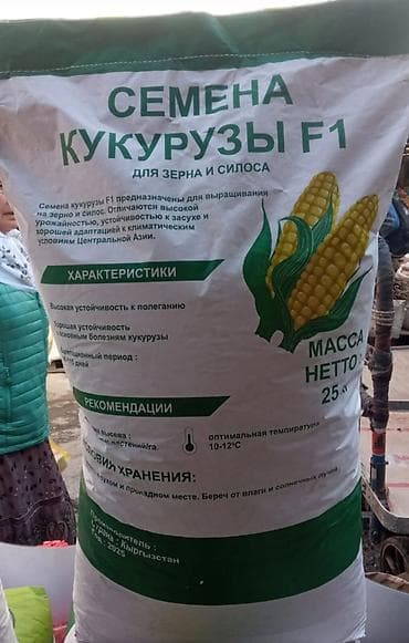 Жугору уруктар АЛА ТОО F1 Китайский Лидер 777 чопко жана данга