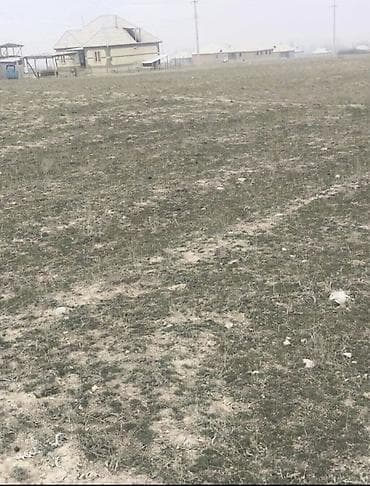 15 соток, Курулуш, Кызыл китеп — 1