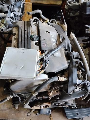 full construction: Двигатель Honda VTEC DOHC - Полный моторный комплект с навесным — 2