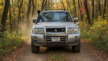 Mitsubishi Pajero: 2004 г., 3 л, Автомат, Газ, Внедорожник