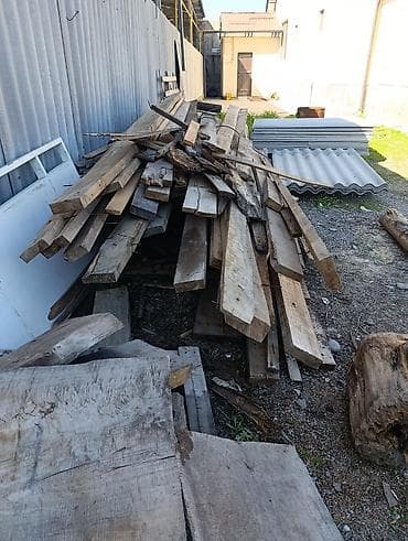 орех ствол: Хвоя — 1