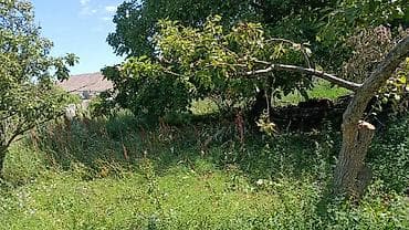 1320 соток, Для сельского хозяйства, Красная книга at lalafo.kg 1320 соток, Для сельского хозяйства, Красная книга