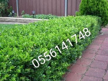 Перегнивший навоз чернозем мешками очищенный от мусора мешки большие