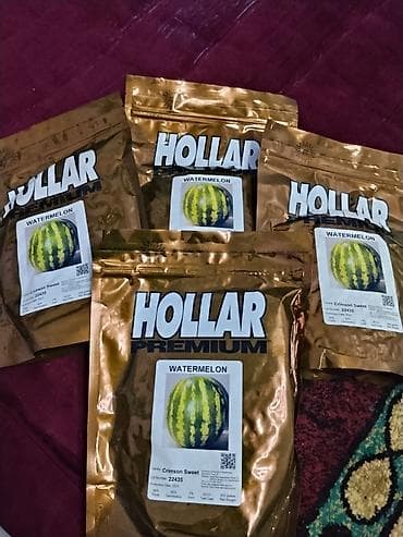 Коондор: Семена арбуза Hollar Premium — сорт Crimson Sweet - Культура — 1