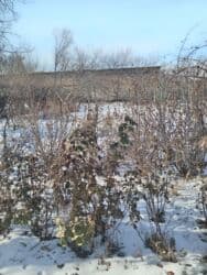 срочно срочно продаю дом город карабалта: Үй, 45 кв. м, 4 бөлмө, Менчик ээси, Эски ремонт — 2