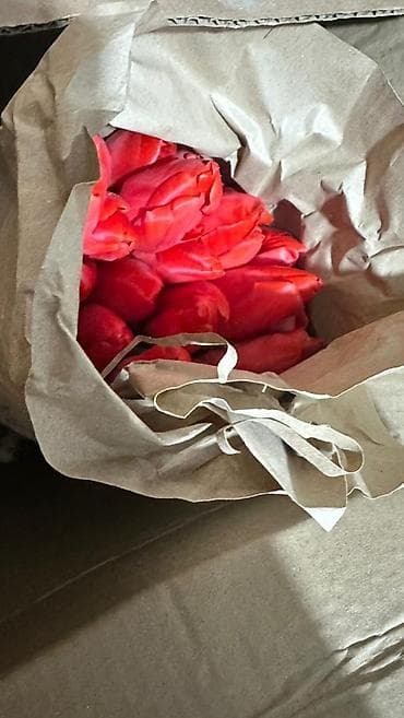 бумага для букетов: Тюльпаны срезанные, в крафт-упаковке. - Разновидности и окраски — 4