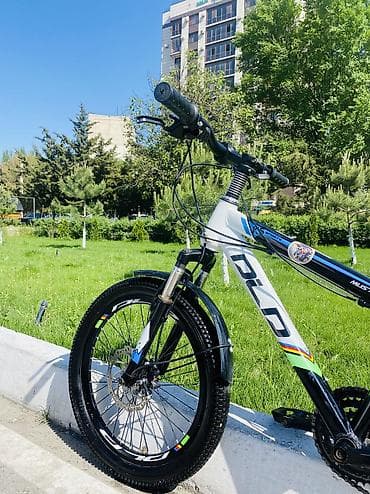 Балдар транспорту: Балдар үчүн велосипед, 2 дөңгөлөктүү, 6 - 9 жаш, Бала үчүн, Колдонулган — 8