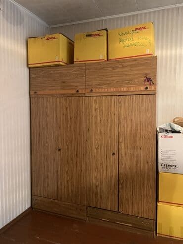 Дивандар: Кийим салуучу шкаф, Түз, Жыгач — 1