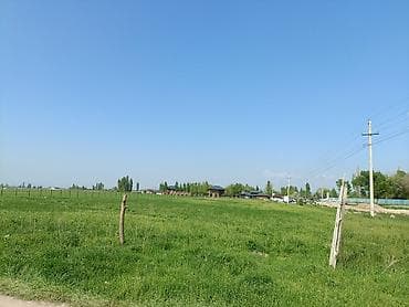 40 соток, Для бизнеса