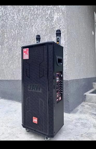 Аренда аренда калонки калонка в аренду с двумя микрофонами 990 сом