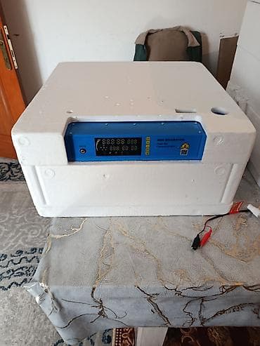 инкубатора: Инкубатор для яиц «Mini Incubator» - Электронное управление с цветным — 4
