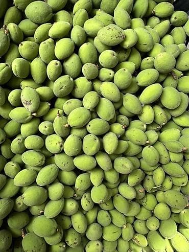 лук репчатый цена: Абрикосы — 1