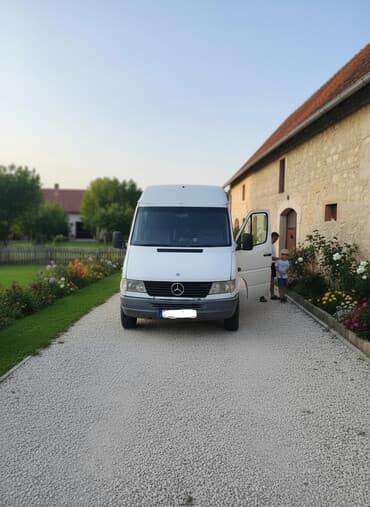 Mercedes-Benz Спринтер: 1997 г., 2.9 л, Механика, Дизель, Фургон