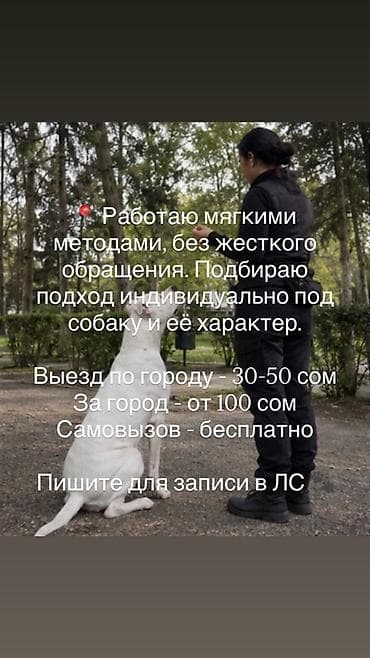 вольер для собаки: Формирование послушания и управляемости собак | Бишкек — 7