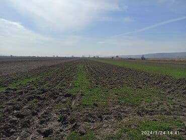 сдаю квартиру 2 комнатный: 96 соток, Для сельского хозяйства, Договор купли-продажи — 2