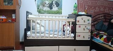 Оюн манеждери: Балдар үчүн трансформер керебет, Башка түрү, түсү - Күрөң — 1