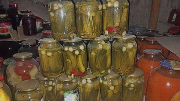 евро мебель бишкек фото: Уйдо жасалган туздама 4 жылдан бери жасап сатамын проверенный даамду — 4