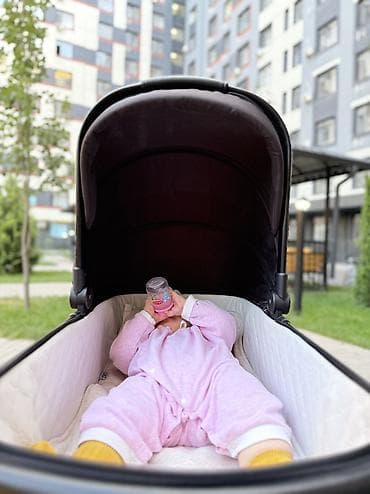 Коляски: Детская коляска 3 в 1, универсальная, цвет — черный - Комплектация — 3
