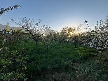 модульный дома: Продается дом 16 соток в селе Арашан в центре села, на главной — 10