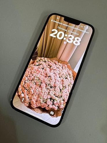 чихол айфон: IPhone 13 Pro Max, Б/у, 128 ГБ, Графит, 76 % — 1