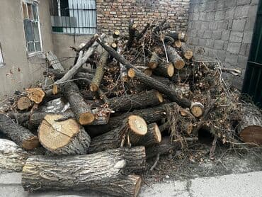 столешница цена бишкек: Отун сатылат — 4