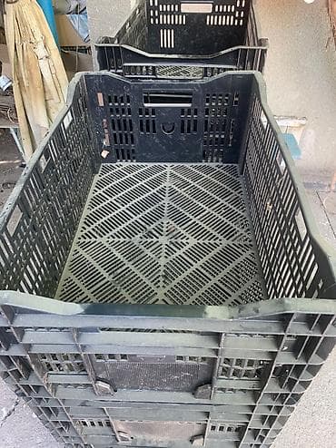 сколько стоит лук: Куплю ящики 150 сом голландские из под луковицы! 500 — 2