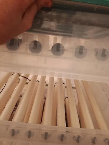 Готовый бизнес: Полностью автоматический инкубатор для яиц с цифровым управлением — 6