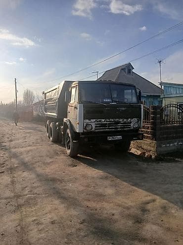 опрыскиватель садовый бензиновый: Грузовик, Камаз, Стандарт — 1