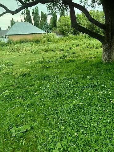 селом: 33 соток, Для строительства, Красная книга, Тех паспорт — 8