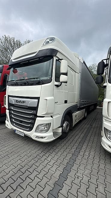 e2 byd: Тягач, DAF, 2019 г., Без прицепа — 3