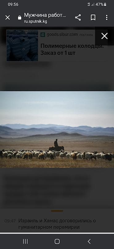 Требуется Пастух, Оплата: Ежемесячно, Форма