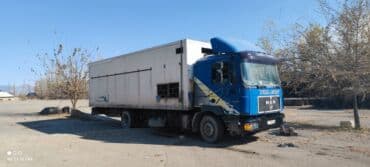 фары на опель вектра б: Грузовик, MAN, Стандарт, 7 т, Б/у — 1