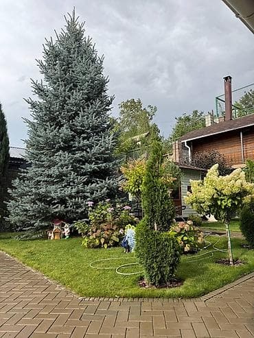 водитель экскаватор: Требуется приходящий садовник с опытом в загородный дом на сезон для — 2