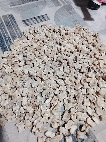 рыба семга: Чуко домпой . 1000. штук бар таза — 4