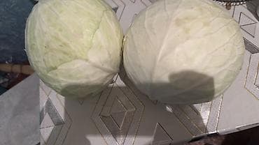 мясо продажа: Капуста Белокачанная — 3