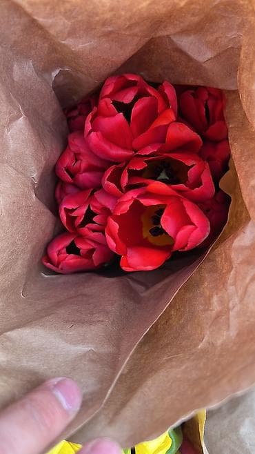 тулпар базар: 🌷 Нежный букет из тюльпанов — идеальный подарок для тех, кого вы — 5