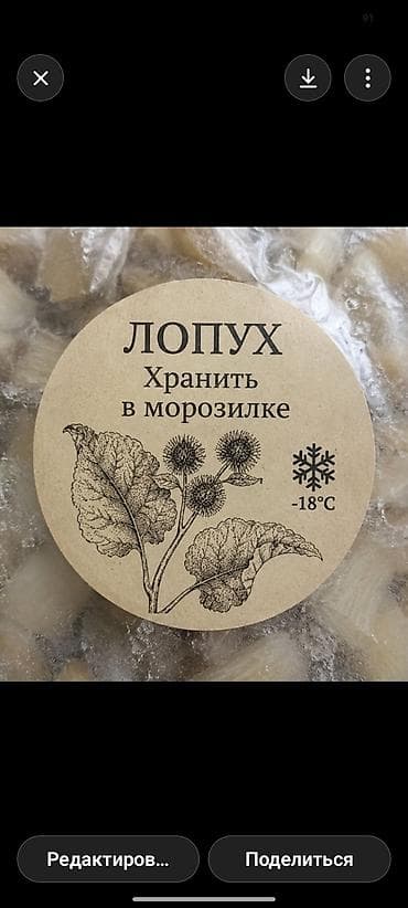 нижнее билье: Натуральный сок из свежих листьев (или корней) лопуха, полученный — 2
