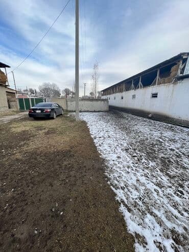 дом совхоз фрунзе: Сдаю Конюшню в перспективном районе для содержания лошадей и быков — 10