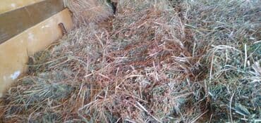 дом для собаки: Сено в тюках - Натуральное луговое сено, спрессованное в — 1