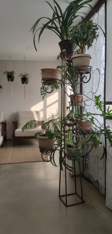 Этажерка для цветов, Железо at lalafo.kg Этажерка для цветов, Железо