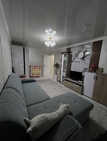 2 комнаты, 50 м², Аламедин-1 мкр — 5