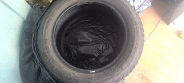 шины каракол: Шины — 2