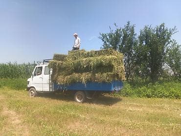 компрессор кондиционера солярис: Легкий грузовик, Mercedes-Benz, Дубль, 3 т, Б/у — 3
