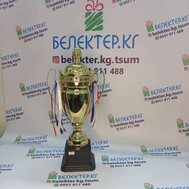 коллекционные монеты нбкр: ✅ Кубки спортивные ✅Бесплатная табличка ✅Бесплатный дизайн ✅Упаковка — 13