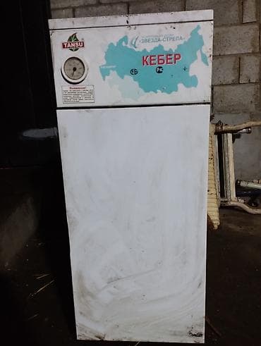 Газовый котёл Для дома, Тип управления: Механический